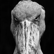 Астахова Валерия Владимировна Астахова Валерия Владимировна