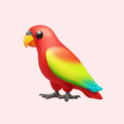 Шевчук Дарья Андреевна