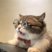 Соловьева Юля Вячеславовна