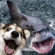 ЯНЬКЭ ВАН ЯНЬКЭ ВАН