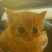 Бодров Егор Юрьевич