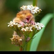 Кабидолдина Айгерим