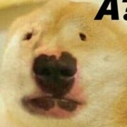 Аликова Алиса Алексеевна