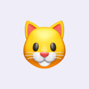 Степанов Тимофей