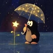 Шержукова Алина