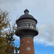 Лоторев Александр