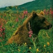 Новинский Дмитрий