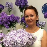 Казеева Ильвира Гумаровна Казеева Ильвира Гумаровна