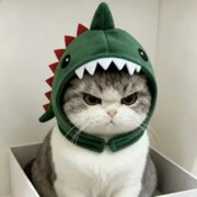 Плютова Полина