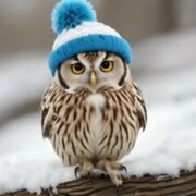 Рачкова Галина Рачкова Галина