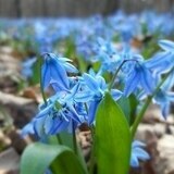 Кузнецова Ирина