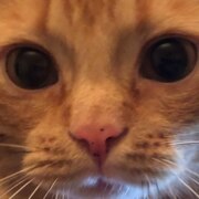 Зайрагаева Джамиля Зайрагаева Джамиля
