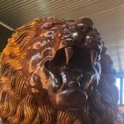 Дронь Николай Анатольевич Дронь Николай Анатольевич