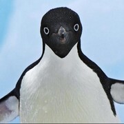 Шпенглер Роман Дмитриевич