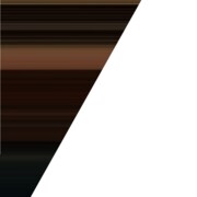 Ларичкина Татьяна Сергеевна