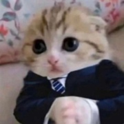 Хамурзов Кантемир Заурович Хамурзов Кантемир Заурович