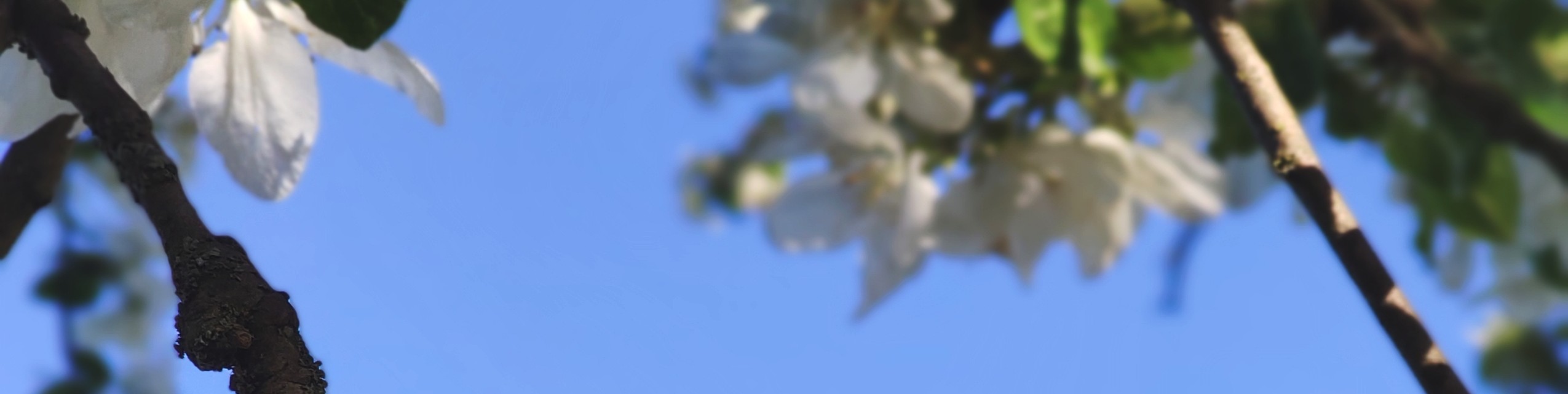 Обложка профиля