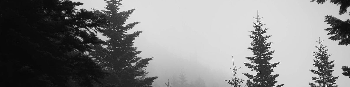 Обложка профиля