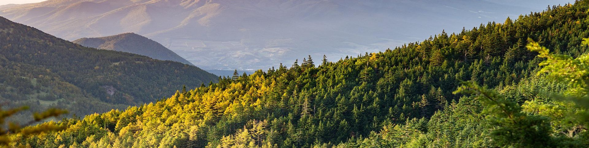 Обложка профиля