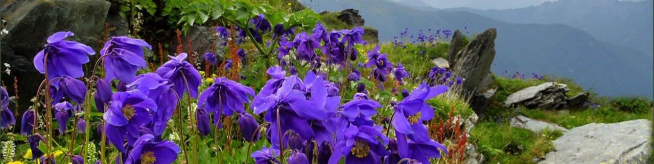 Обложка профиля