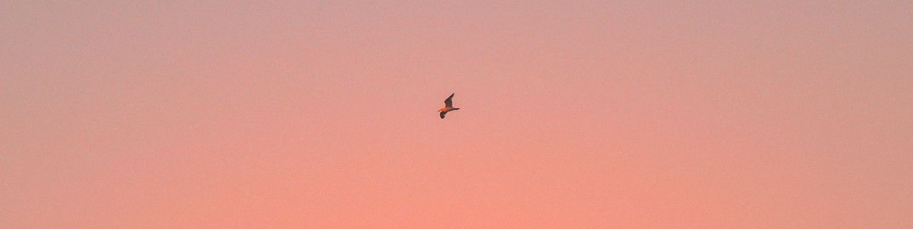 Обложка профиля