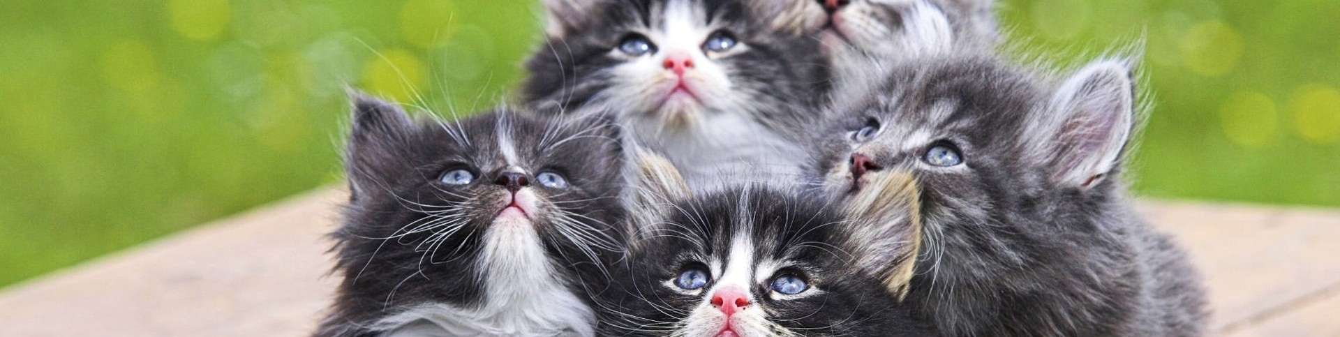 Обложка профиля