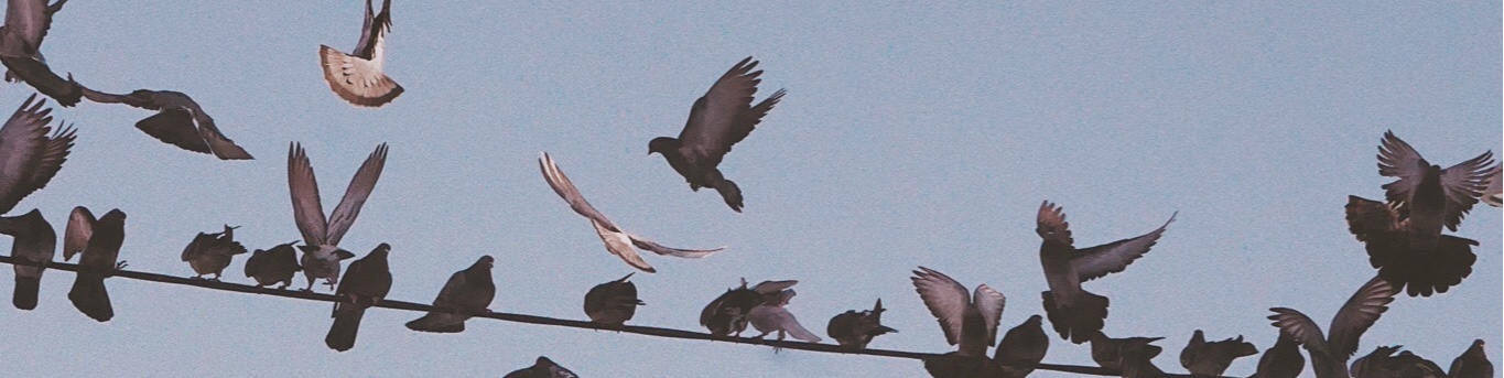 Обложка профиля