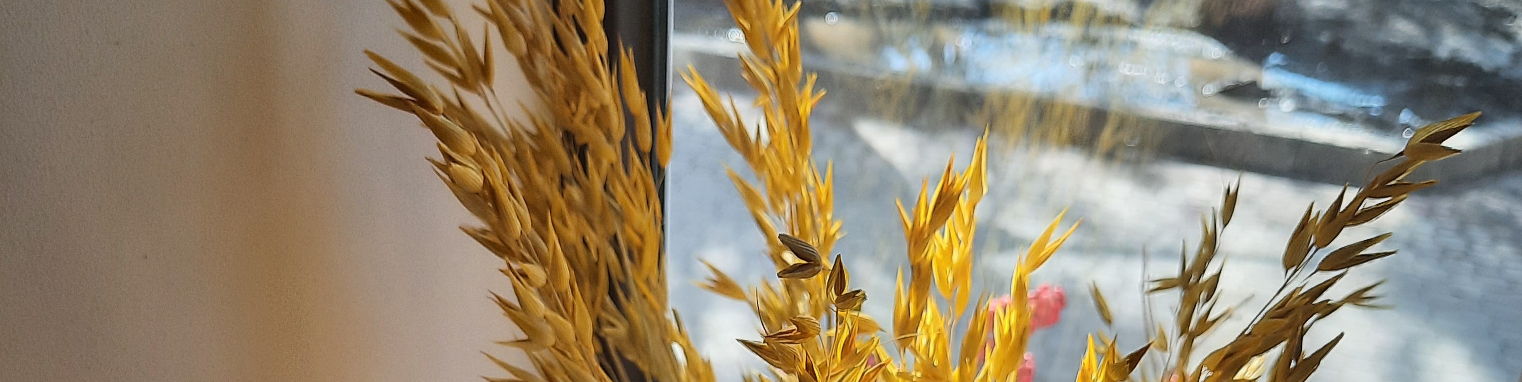 Обложка профиля