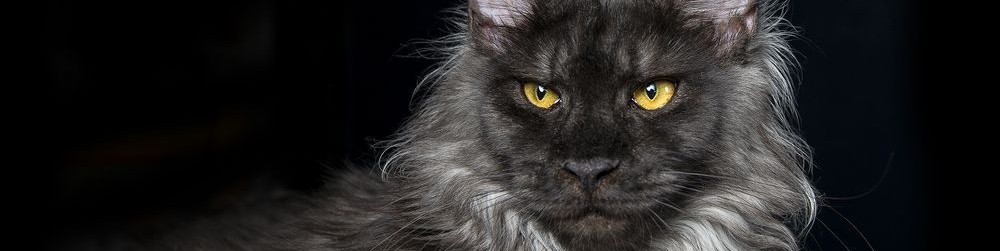 Обложка профиля