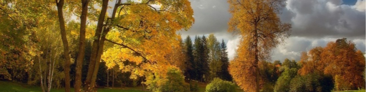 Обложка профиля