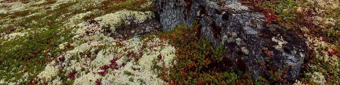 Обложка профиля