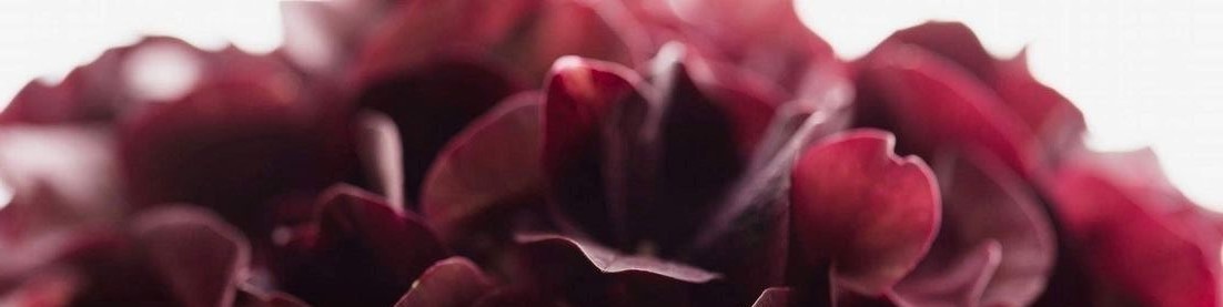 Обложка профиля