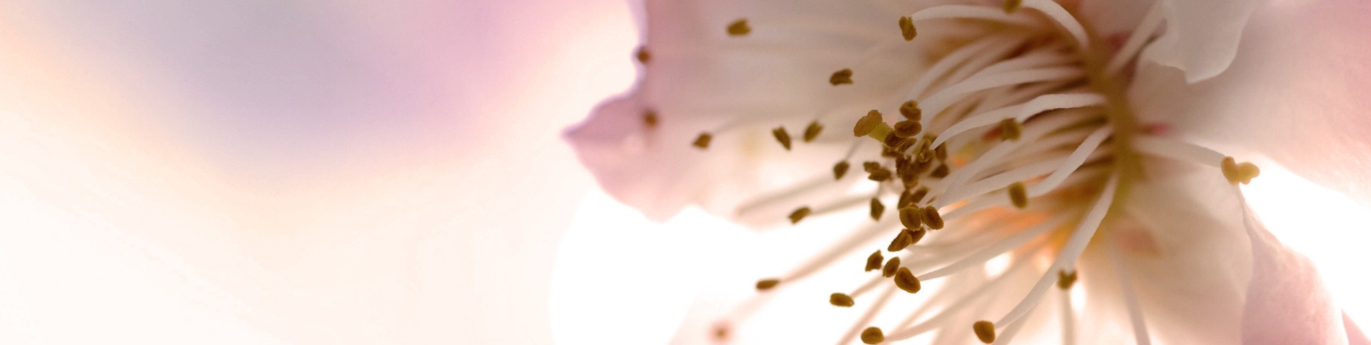 Обложка профиля