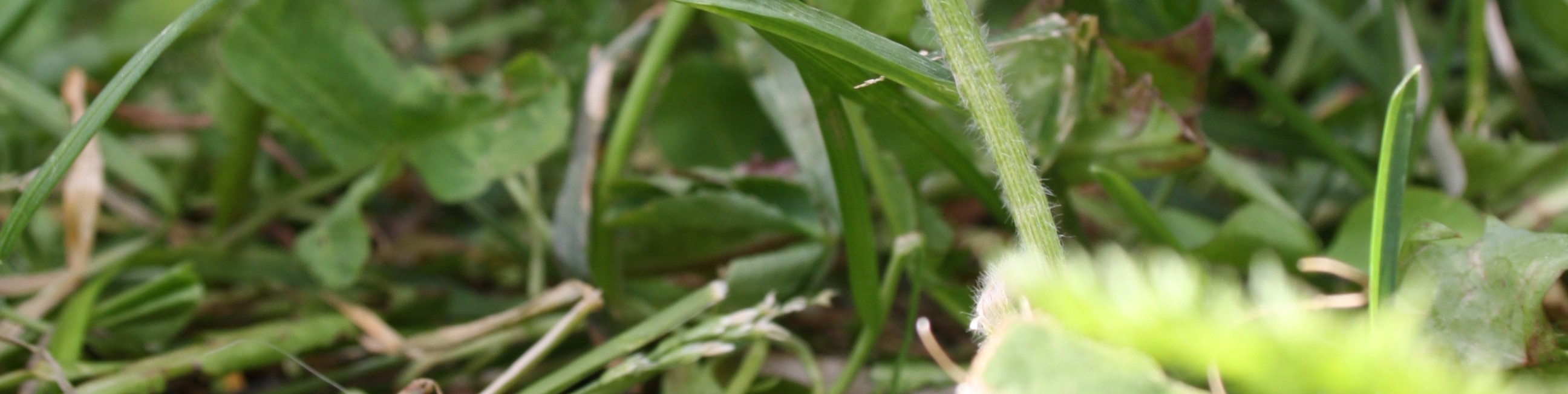 Обложка профиля