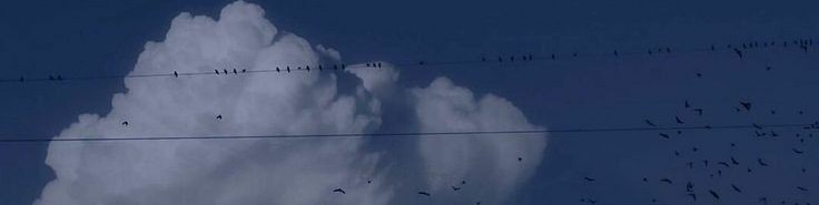 Обложка профиля