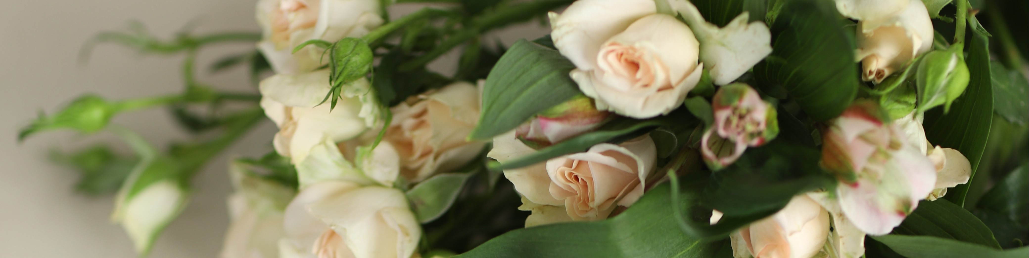 Обложка профиля