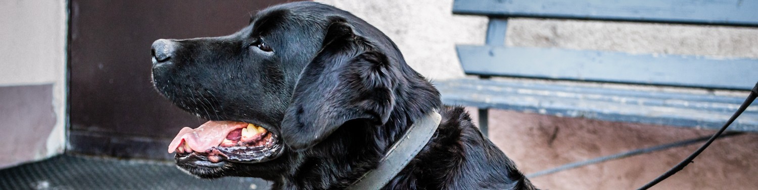 Обложка профиля