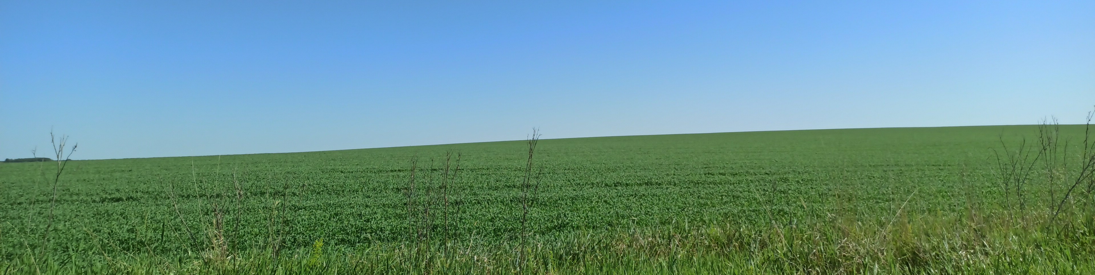 Обложка профиля