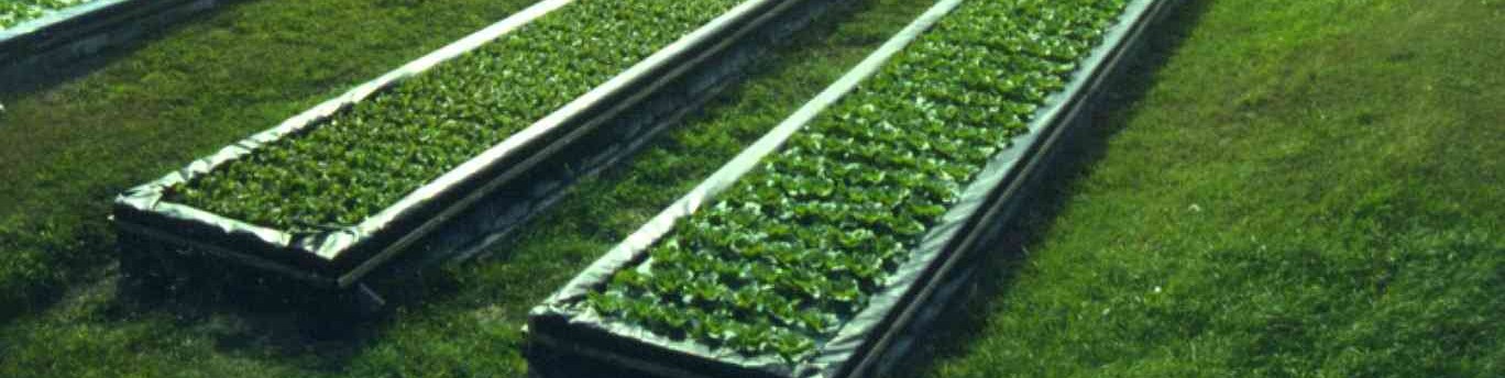 Обложка профиля