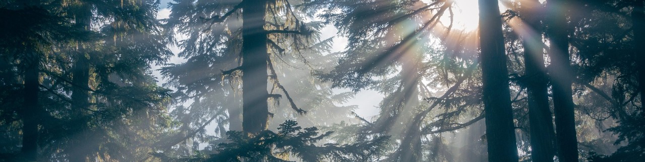 Обложка профиля