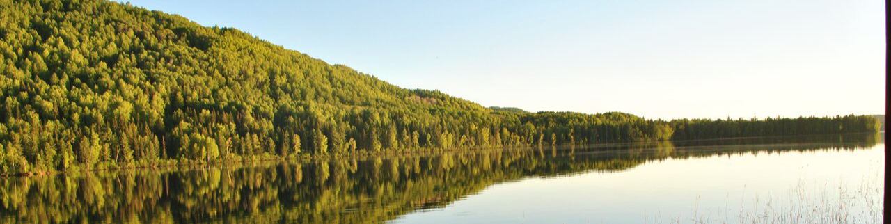 Обложка профиля