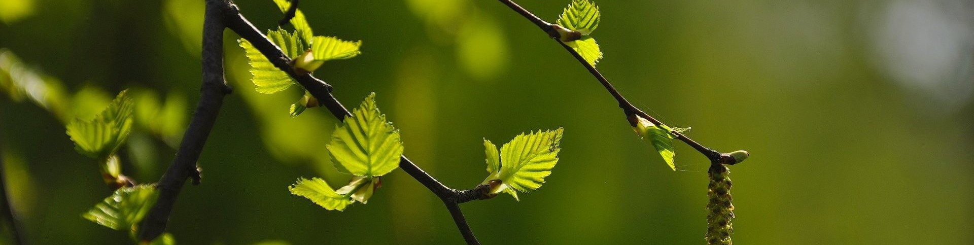 Обложка профиля