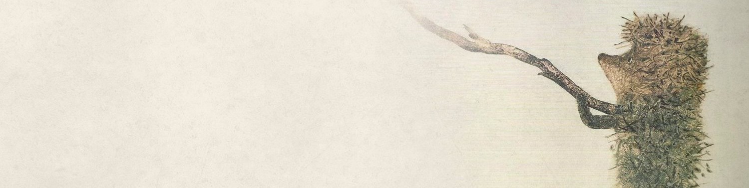 Обложка профиля