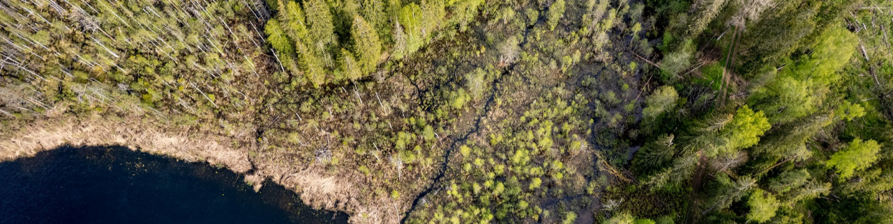 Обложка профиля