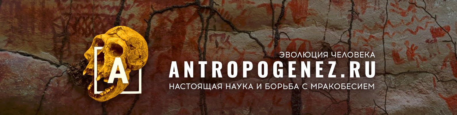 Обложка профиля