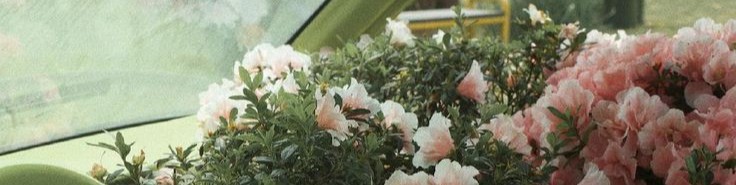 Обложка профиля