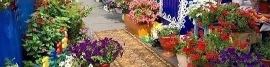 Обложка профиля