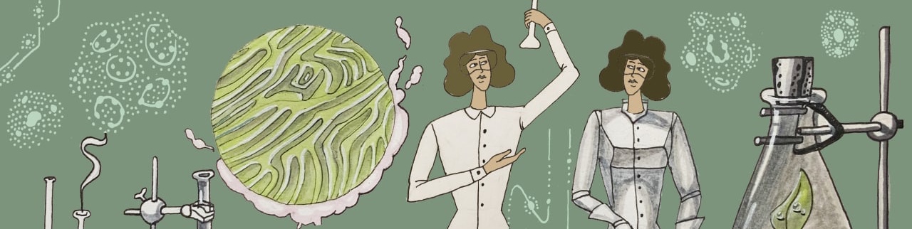 Обложка профиля