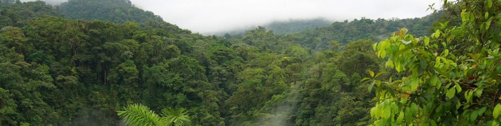 Обложка профиля