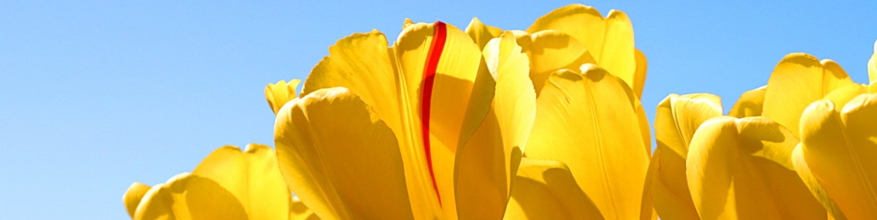 Обложка профиля